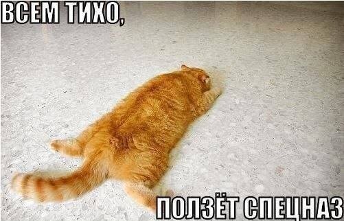 Qi71qwaECJw