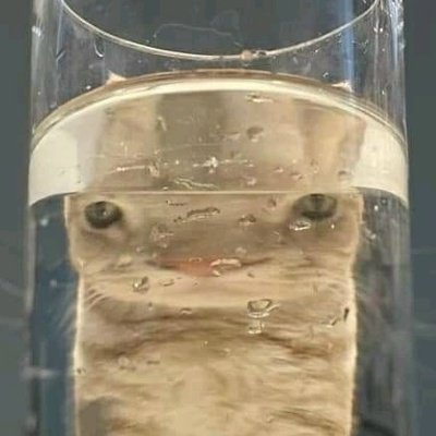 UqEB SpmLctEhe31e0S2BvXza4l8-es47R FqvVHNBcu-6EGjB9hpO5yk1S6