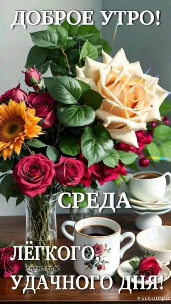 Друзья мои!
