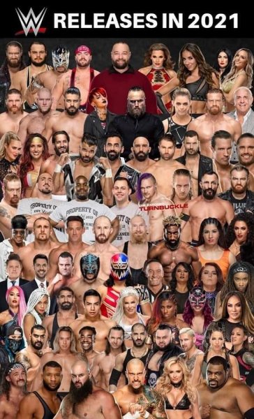 WWE (440)