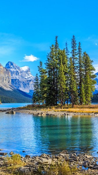 Screenshot 20260222-165542 One UI Home