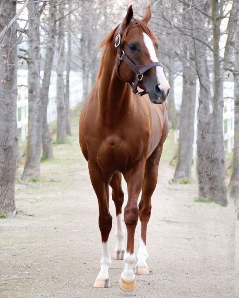 2b5620df98ab86e69c004fdd3cbb2d1e