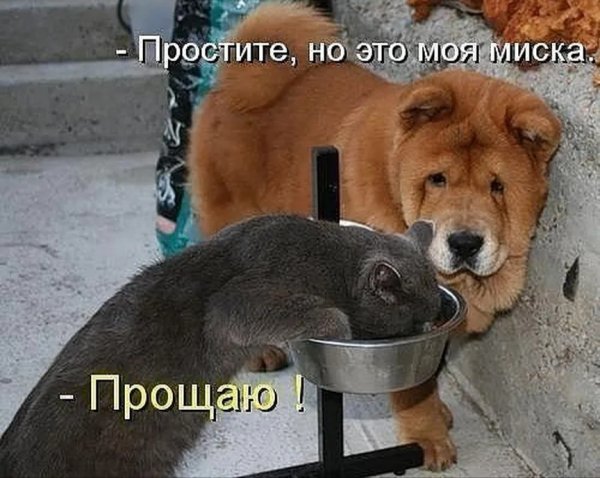 Прощаю!