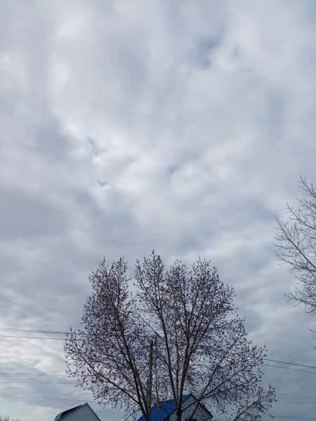 IMG 20250407 172702