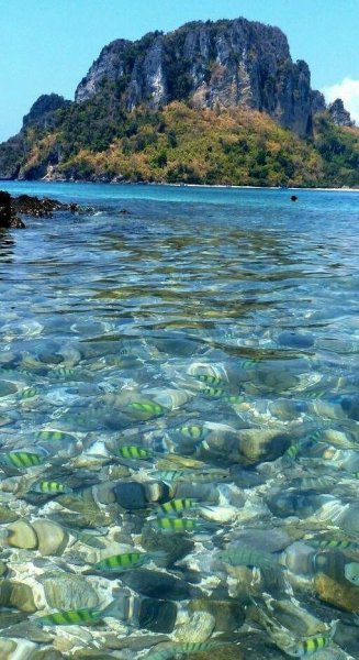 image (3) - 2020-07-24T020555.321