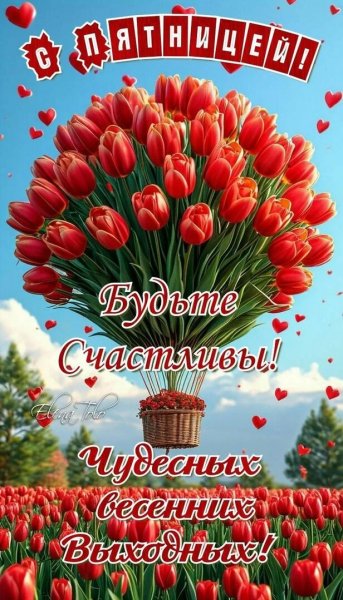 Друзья мои!