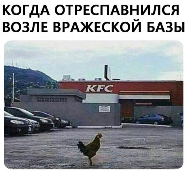 e255c 00000000000000000