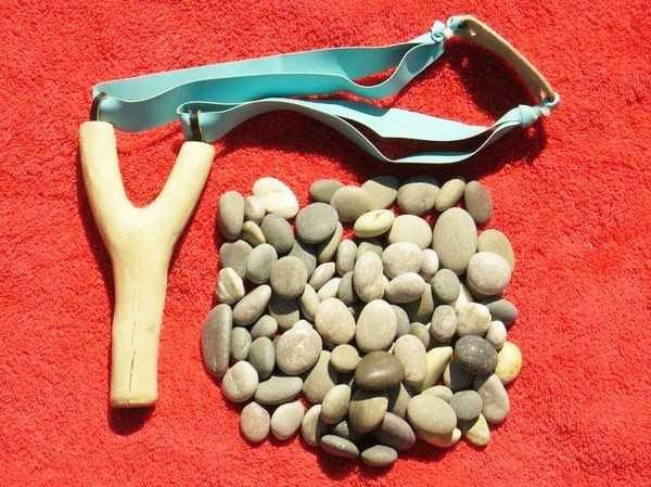 IMG 20251011 195228 817