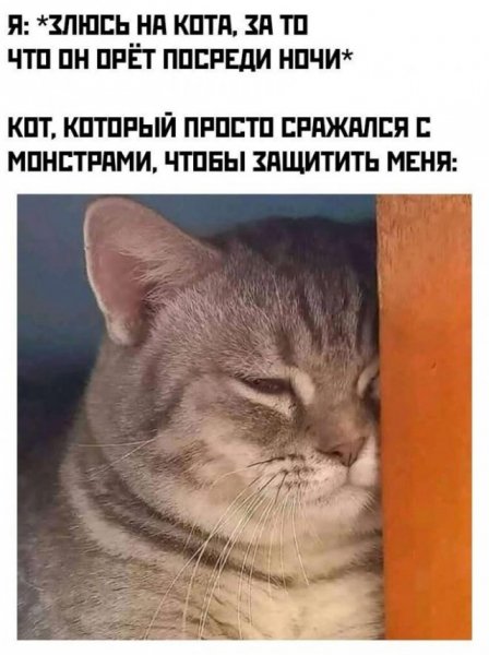 Smeshnyh-kartinok-i-memov-dlja-vashego-nastroenija-24