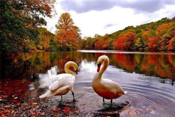 E278985741bce56c4b782f790214f929