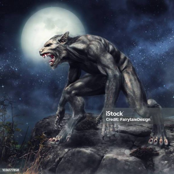 Istockphoto-1036177858-612x612