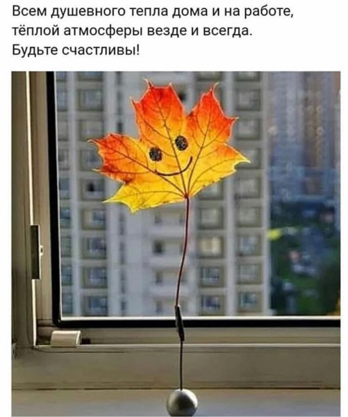 marinaalekminskaya 20200925 9