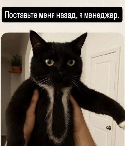 44f4489e55 0000000000000