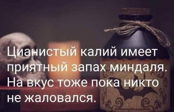 IMG 20231121 205610