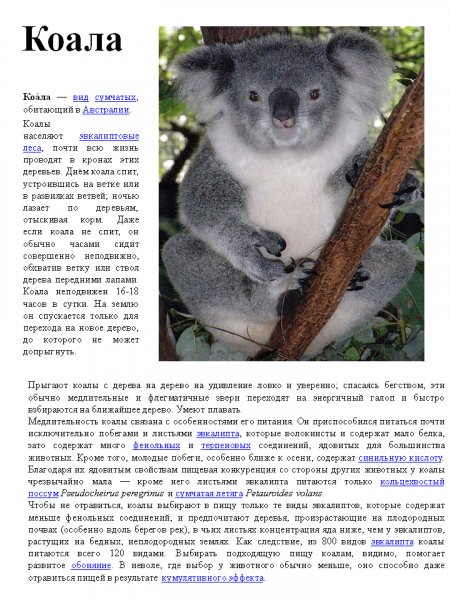Коала