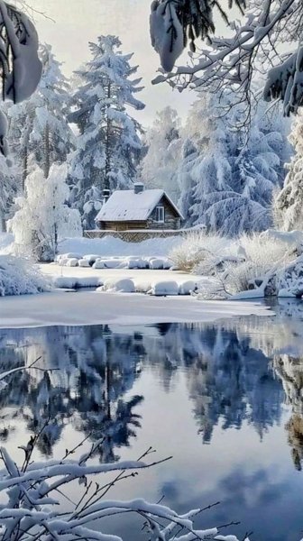 Арт Природа