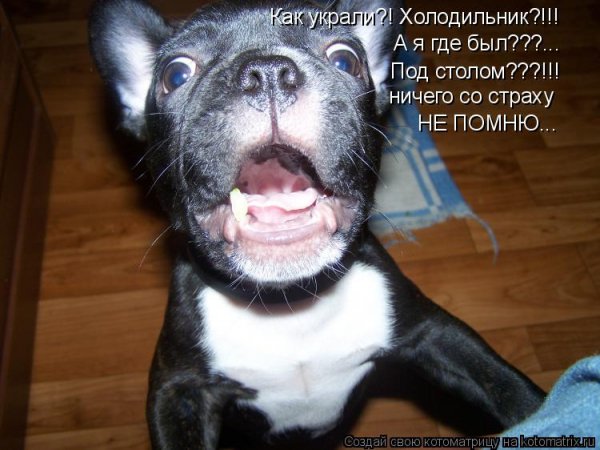 Опаньки!