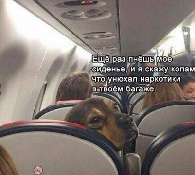 p.0.360.0