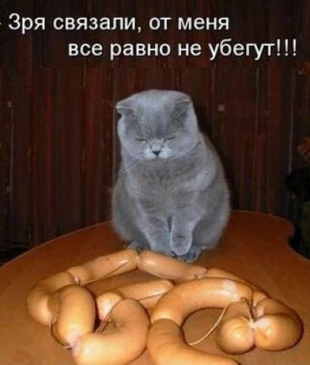 Не убегут!!!