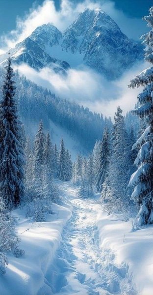 Арт Природа