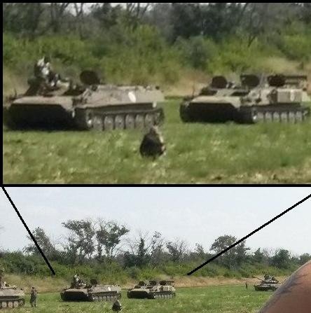 8 гв. омсбр(г)