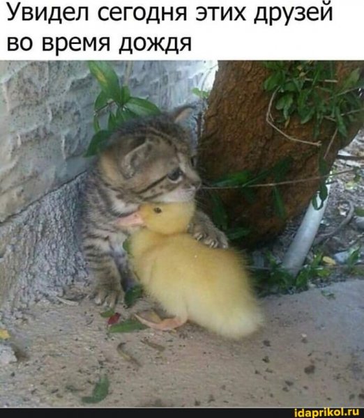 d6025deca816e6b7fe27f77a42babab98042c719842ef10b71600a4fbbc25