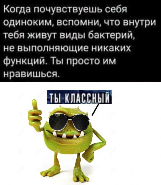 fb481f5 19904863