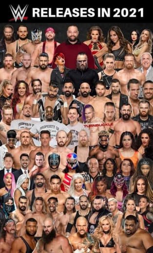 WWE (381)