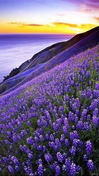 d05ae086a6b29f739104fcaabd2744ea