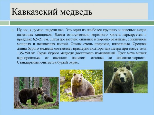 Slide-13