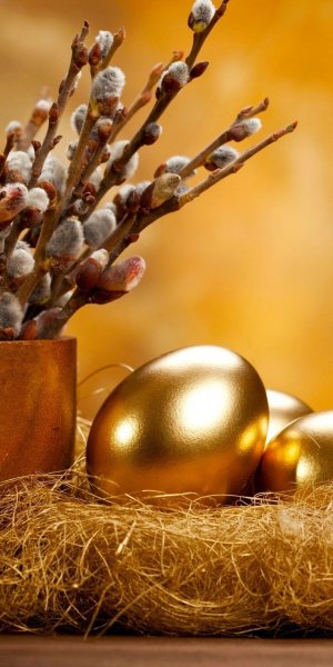 fe3b7f94867e25294573d1d7f9726502