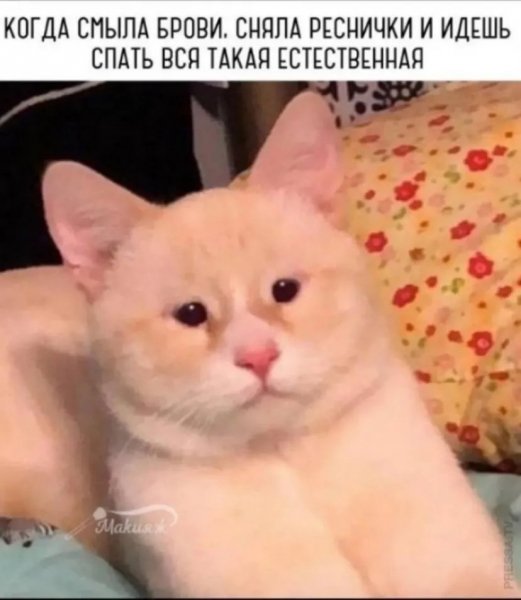 f.1200.1200.0