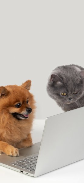 ZamanilkaRUS Wallpaper (281)