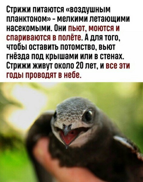 (3)
