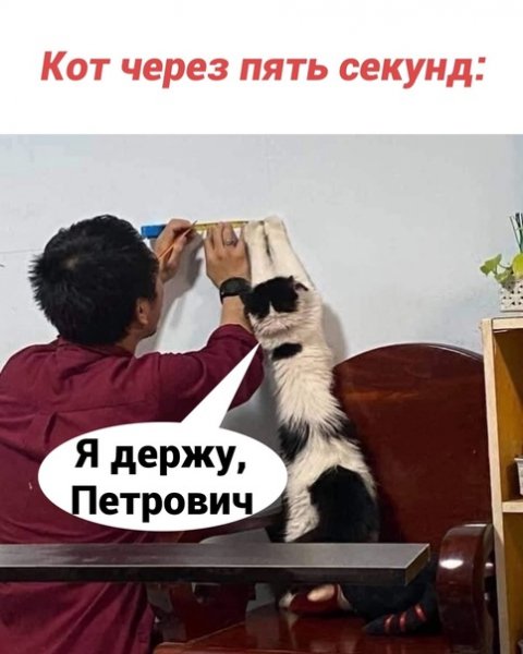 (4)