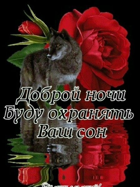 Доброй ночи, я буду охранять твой сон