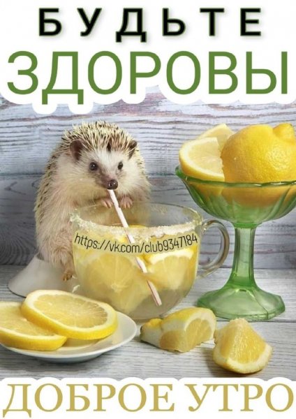 Cd8b4eb8fae2b50fbe85d051a7bfc1fa