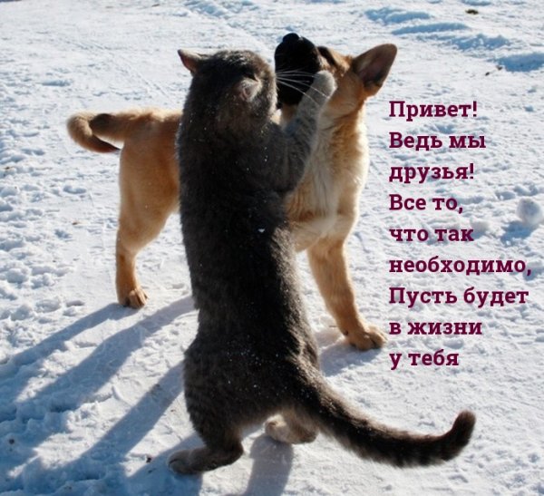 Привет!