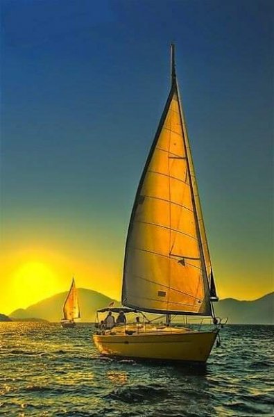 FB IMG 1615724549597