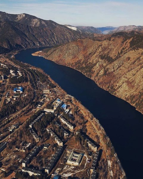 Черёмушки на берегу Енисея