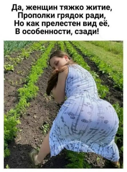 picture_408999782