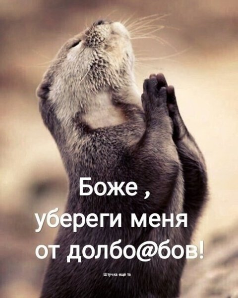 IMG 20210418 033514