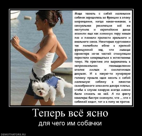 Теперь всё ясно...