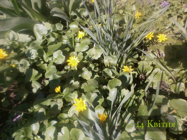 14 Квітня