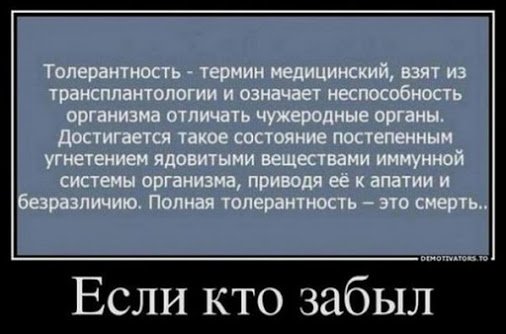 толерантность