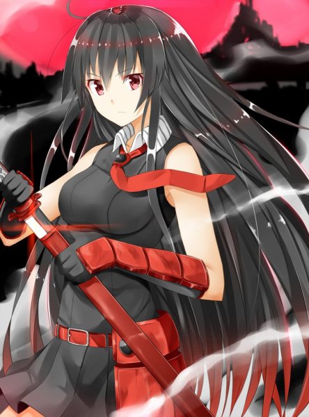 Akame ga kill