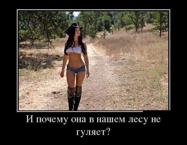 ЛЕСНАЯ ПРОГУЛКА