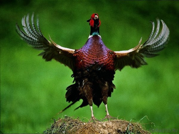 IMG 20151027 154723 47