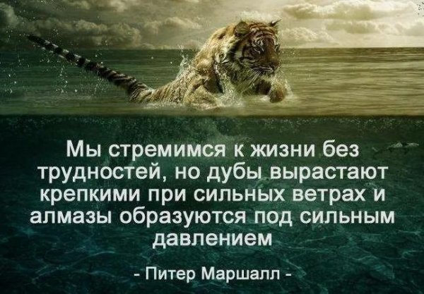 b780e3d59d298b681b426507aa57