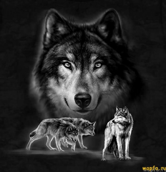 0s-13XdsFJw